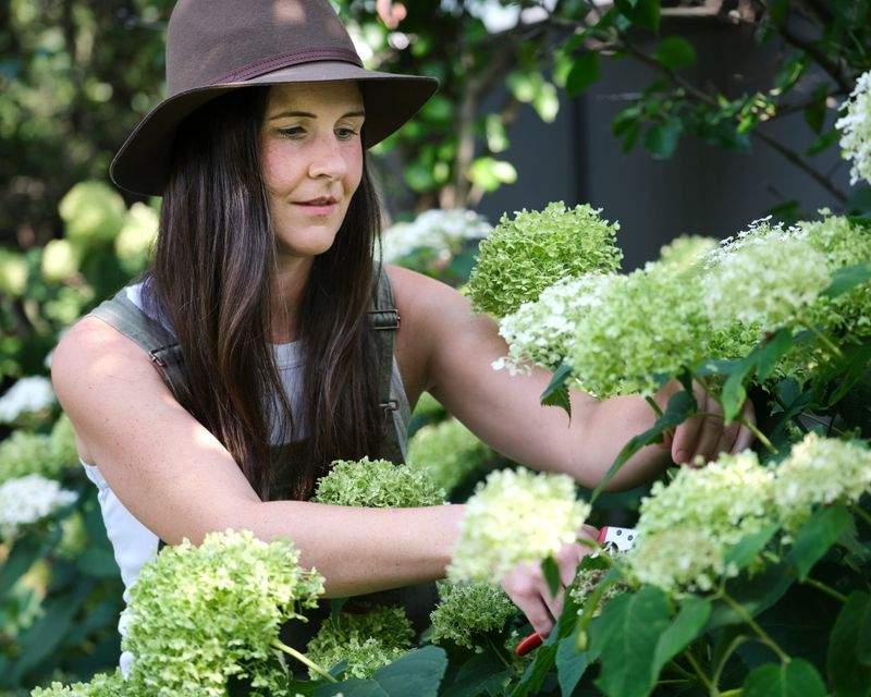 Jardins Harmonie Verte 1